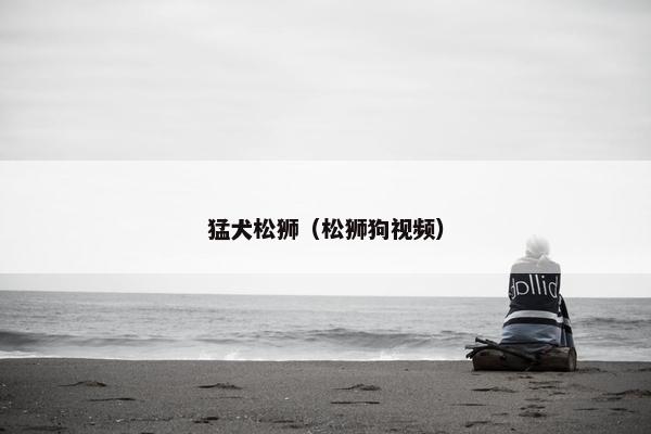猛犬松狮（松狮狗视频）