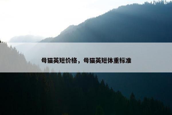 母猫英短价格，母猫英短体重标准