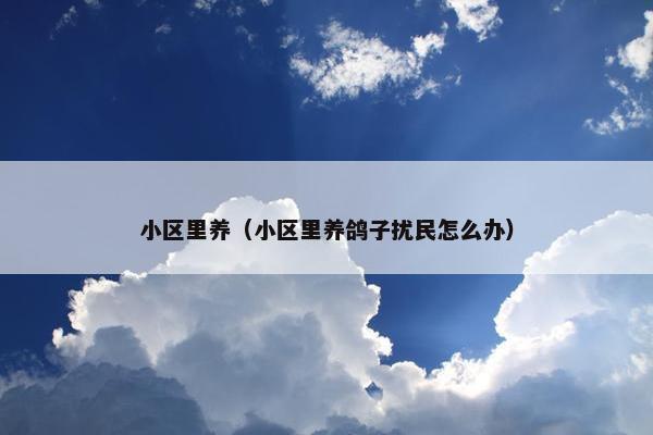 小区里养（小区里养鸽子扰民怎么办）