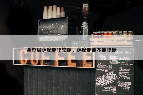 金渐层萨摩耶吃软糖，萨摩耶能不能吃糖