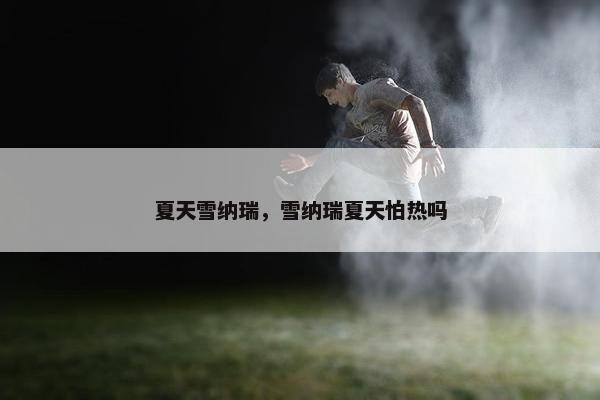 夏天雪纳瑞，雪纳瑞夏天怕热吗