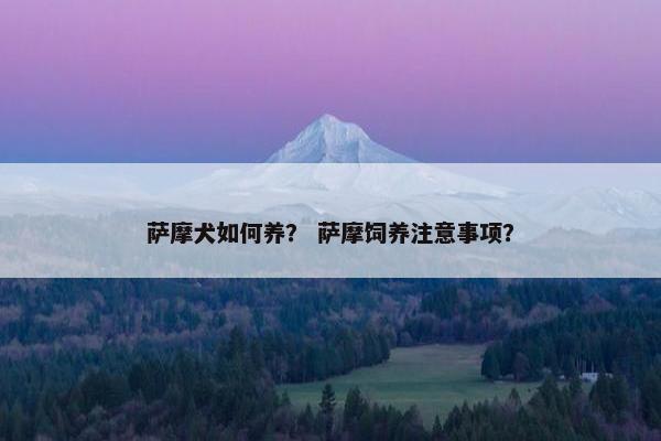萨摩犬如何养？ 萨摩饲养注意事项？