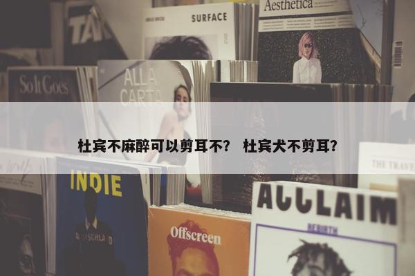 杜宾不麻醉可以剪耳不？ 杜宾犬不剪耳？