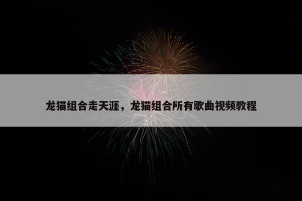 龙猫组合走天涯，龙猫组合所有歌曲视频教程