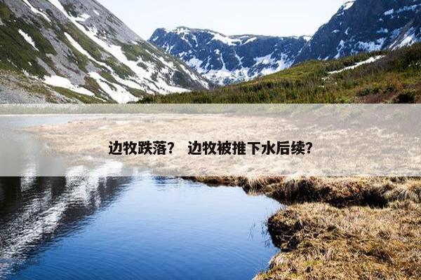 边牧跌落？ 边牧被推下水后续？
