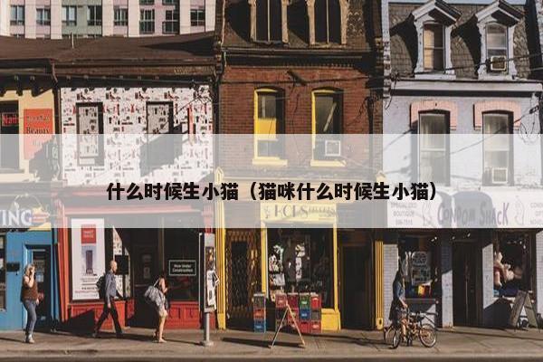 什么时候生小猫（猫咪什么时候生小猫）