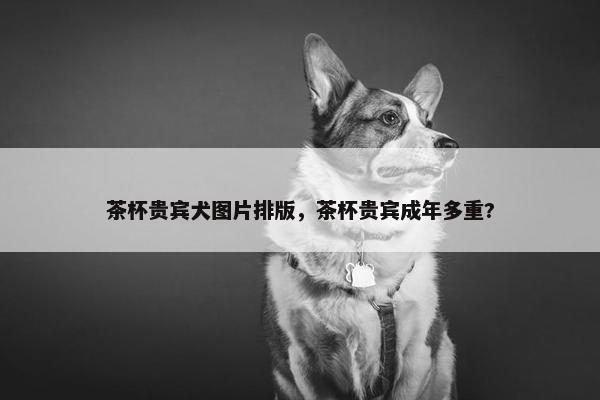 茶杯贵宾犬图片排版，茶杯贵宾成年多重?