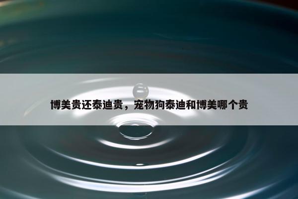 博美贵还泰迪贵，宠物狗泰迪和博美哪个贵