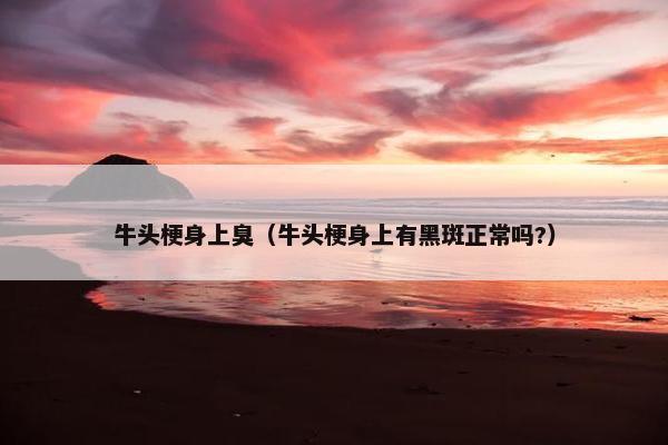 牛头梗身上臭（牛头梗身上有黑斑正常吗?）