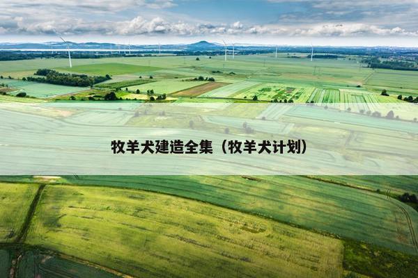 牧羊犬建造全集（牧羊犬计划）