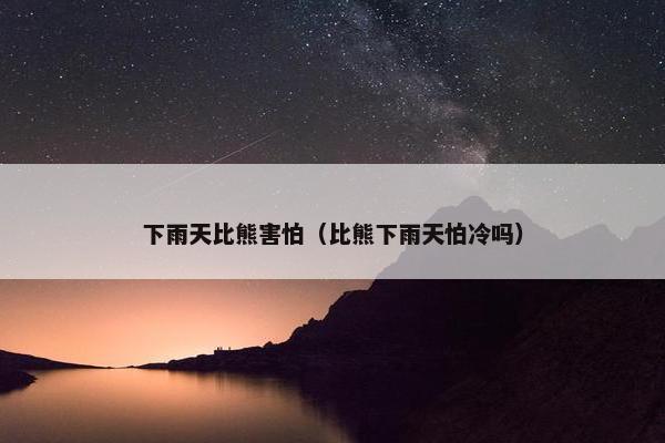 下雨天比熊害怕（比熊下雨天怕冷吗）