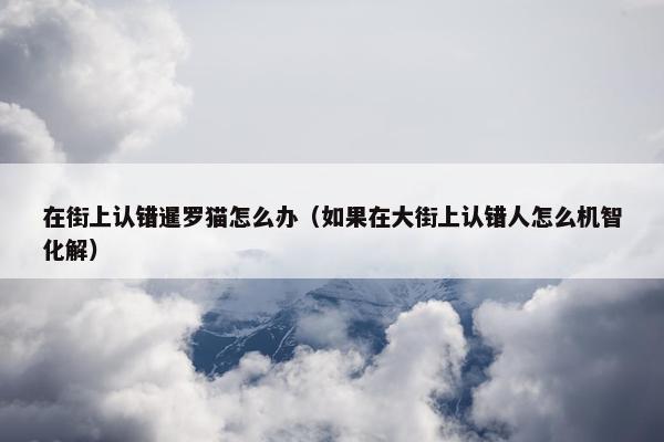 在街上认错暹罗猫怎么办（如果在大街上认错人怎么机智化解）