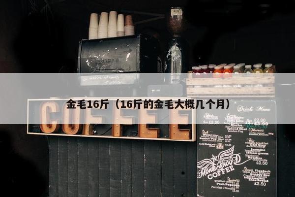 金毛16斤（16斤的金毛大概几个月）