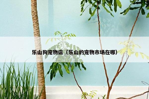 乐山狗宠物店（乐山的宠物市场在哪）