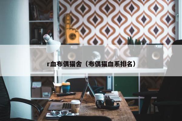 r血布偶猫舍（布偶猫血系排名）