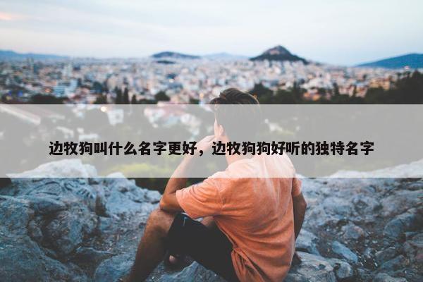 边牧狗叫什么名字更好，边牧狗狗好听的独特名字