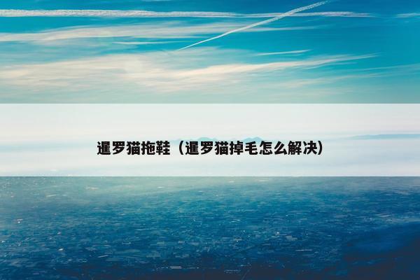 暹罗猫拖鞋（暹罗猫掉毛怎么解决）