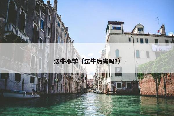 法牛小学（法牛厉害吗?）