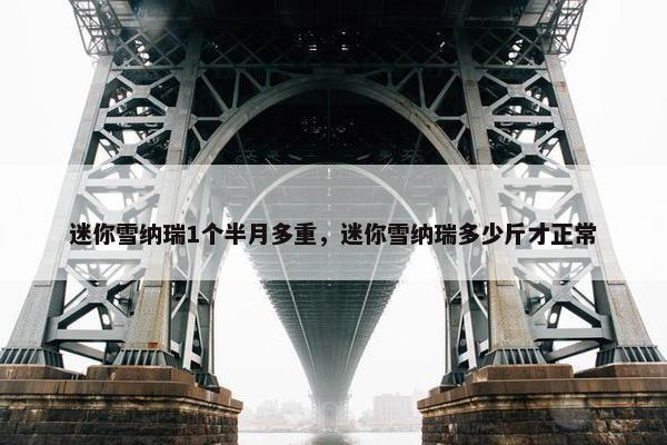 迷你雪纳瑞1个半月多重，迷你雪纳瑞多少斤才正常