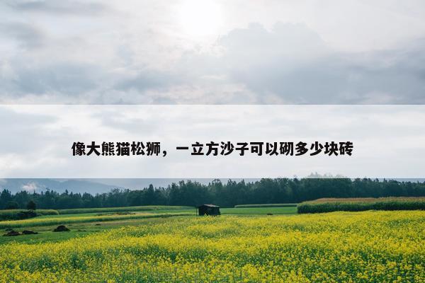 像大熊猫松狮，一立方沙子可以砌多少块砖