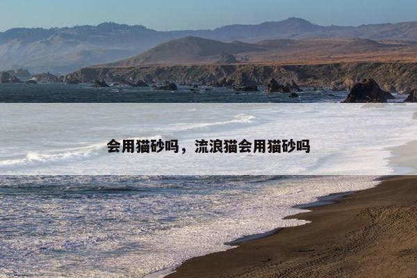 会用猫砂吗，流浪猫会用猫砂吗