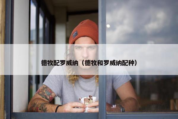 德牧配罗威纳（德牧和罗威纳配种）