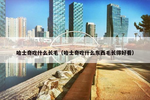 哈士奇吃什么长毛（哈士奇吃什么东西毛长得好看）