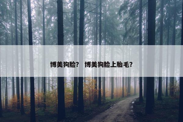 博美狗脸？ 博美狗脸上胎毛？