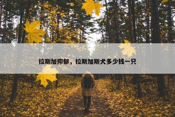 拉斯加抑郁，拉斯加斯犬多少钱一只
