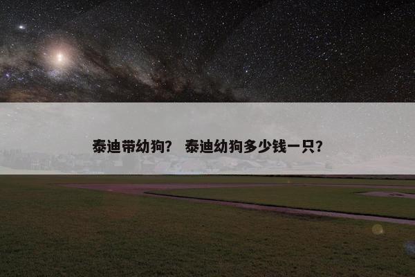 泰迪带幼狗？ 泰迪幼狗多少钱一只？