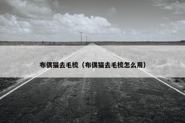 布偶猫去毛梳（布偶猫去毛梳怎么用）