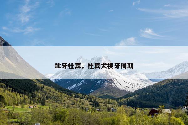 龇牙杜宾，杜宾犬换牙周期