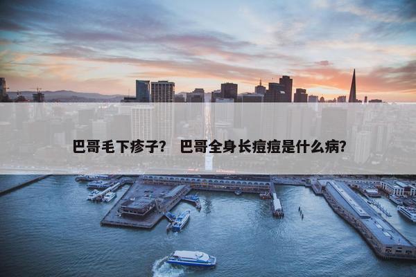 巴哥毛下疹子？ 巴哥全身长痘痘是什么病？