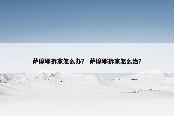萨摩耶拆家怎么办？ 萨摩耶拆家怎么治？