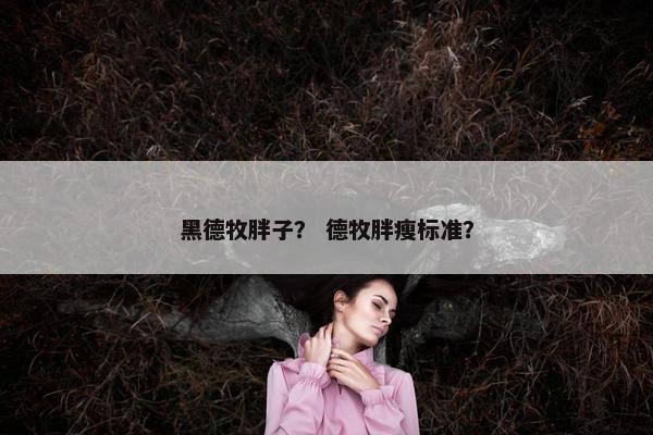 黑德牧胖子？ 德牧胖瘦标准？