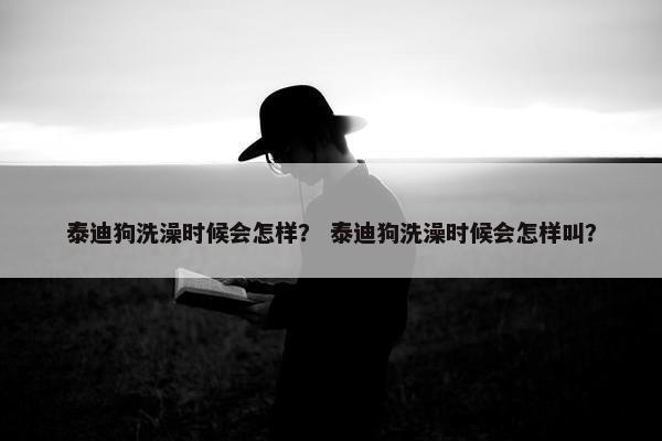 泰迪狗洗澡时候会怎样？ 泰迪狗洗澡时候会怎样叫？