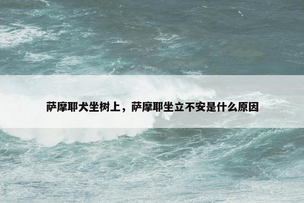 萨摩耶犬坐树上，萨摩耶坐立不安是什么原因