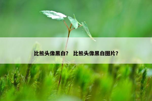 比熊头像黑白？ 比熊头像黑白图片？