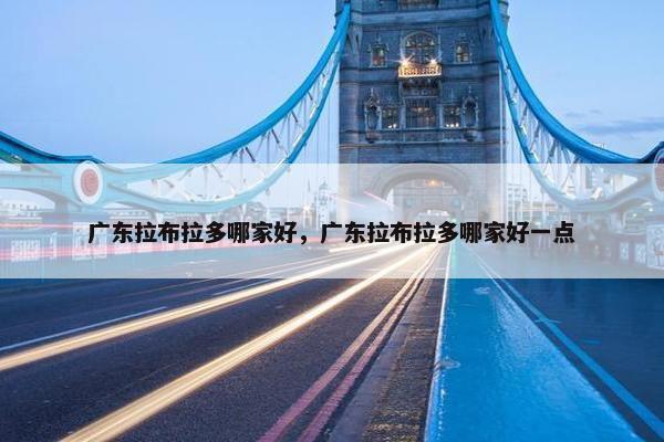 广东拉布拉多哪家好，广东拉布拉多哪家好一点