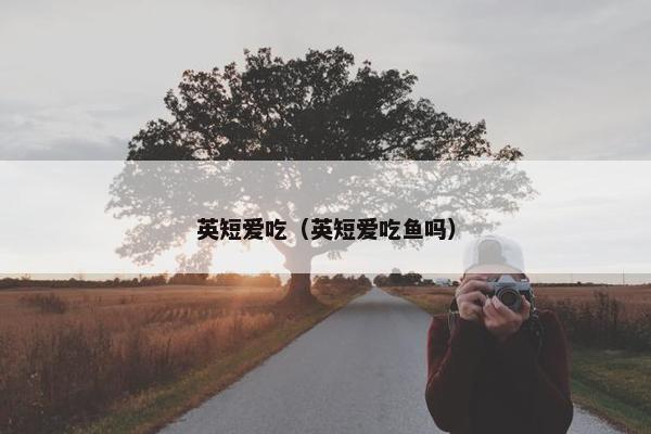 英短爱吃（英短爱吃鱼吗）