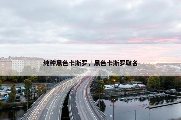 纯种黑色卡斯罗，黑色卡斯罗取名