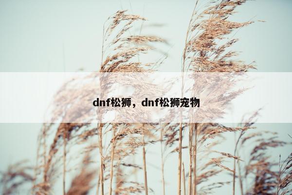 dnf松狮，dnf松狮宠物
