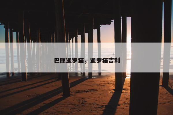 巴厘暹罗猫，暹罗猫吉利