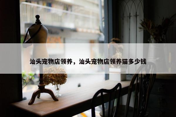 汕头宠物店领养，汕头宠物店领养猫多少钱
