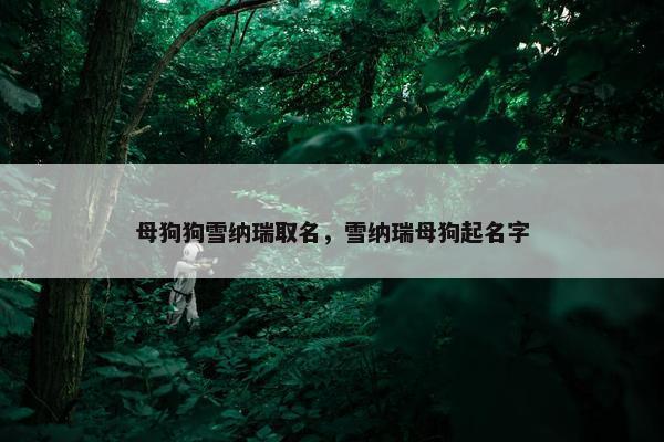 母狗狗雪纳瑞取名，雪纳瑞母狗起名字
