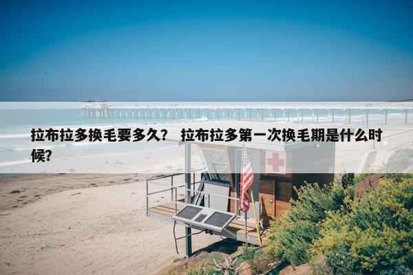 拉布拉多换毛要多久？ 拉布拉多第一次换毛期是什么时候？