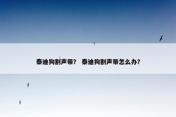 泰迪狗割声带？ 泰迪狗割声带怎么办？
