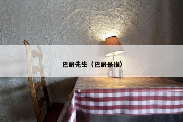 巴哥先生（巴哥是谁）