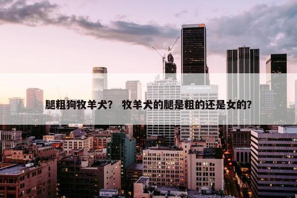 腿粗狗牧羊犬？ 牧羊犬的腿是粗的还是女的？