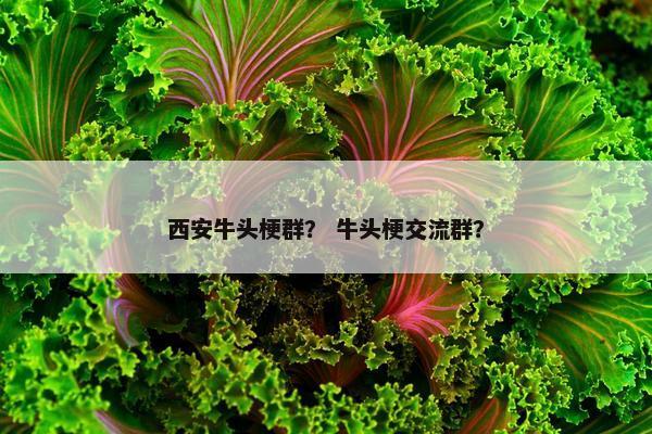 西安牛头梗群？ 牛头梗交流群？